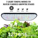 Indoor Hydroponics Herb Garden Kit
